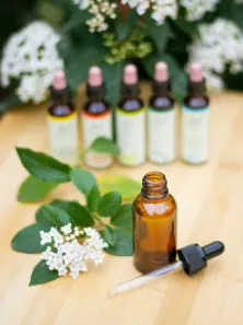 Private Arztpraxis Dr. med. Gertrud Stifel Berlin-Lichterfelde Homöopathie als ganzheitlicher Ansatz Private Arztpraxis Dr. med. Gertrud Stifel Berlin-Lichterfelde Homöopathie als ganzheitlicher Ansatz